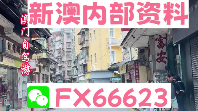 新澳精準(zhǔn)資料免費(fèi)提供，一站式獲取優(yōu)質(zhì)信息資源的指南，新澳精準(zhǔn)資料免費(fèi)獲取，一站式優(yōu)質(zhì)信息資源指南
