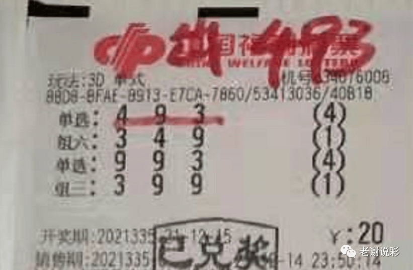 新奧門彩天天開獎資料一網(wǎng)羅萬象，揭秘彩票奧秘，揭秘彩票奧秘，新奧門彩天天開獎資料一網(wǎng)羅萬象