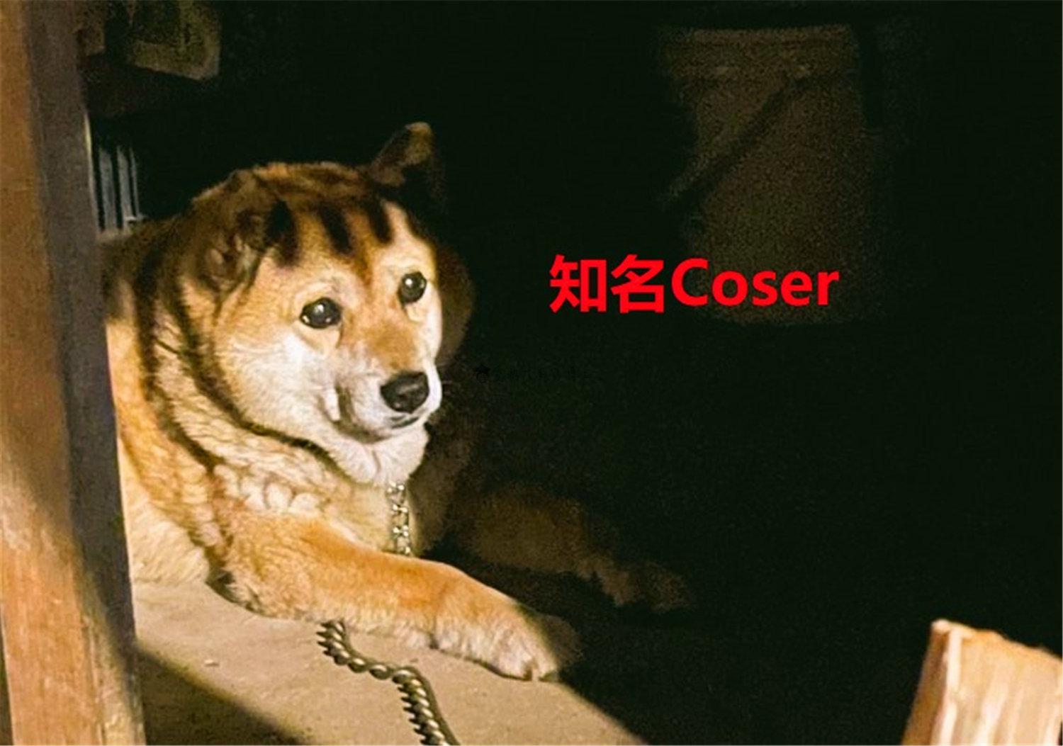 豬狗同行王中王，猜一肖，深度解析與SEO優(yōu)化，豬狗同行王中王猜謎解析與SEO優(yōu)化技巧，深度解析揭秘生肖之謎