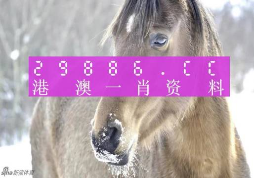 揭秘最準(zhǔn)一肖一碼，探尋神秘的生肖預(yù)測(cè)奧秘，揭秘生肖預(yù)測(cè)真相，最準(zhǔn)一肖一碼探尋記