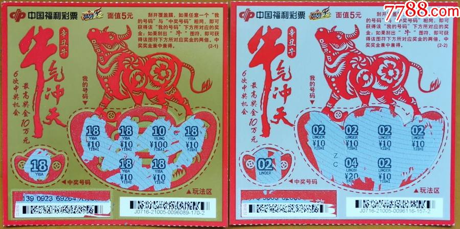 王中王19期指一生肖——探尋背后的奧秘與意義，王中王19期指一生肖，背后的奧秘與意義探尋