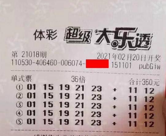 王中王018期指一生肖，揭秘背后的奧秘與意義，揭秘生肖奧秘，王中王生肖背后的意義與秘密