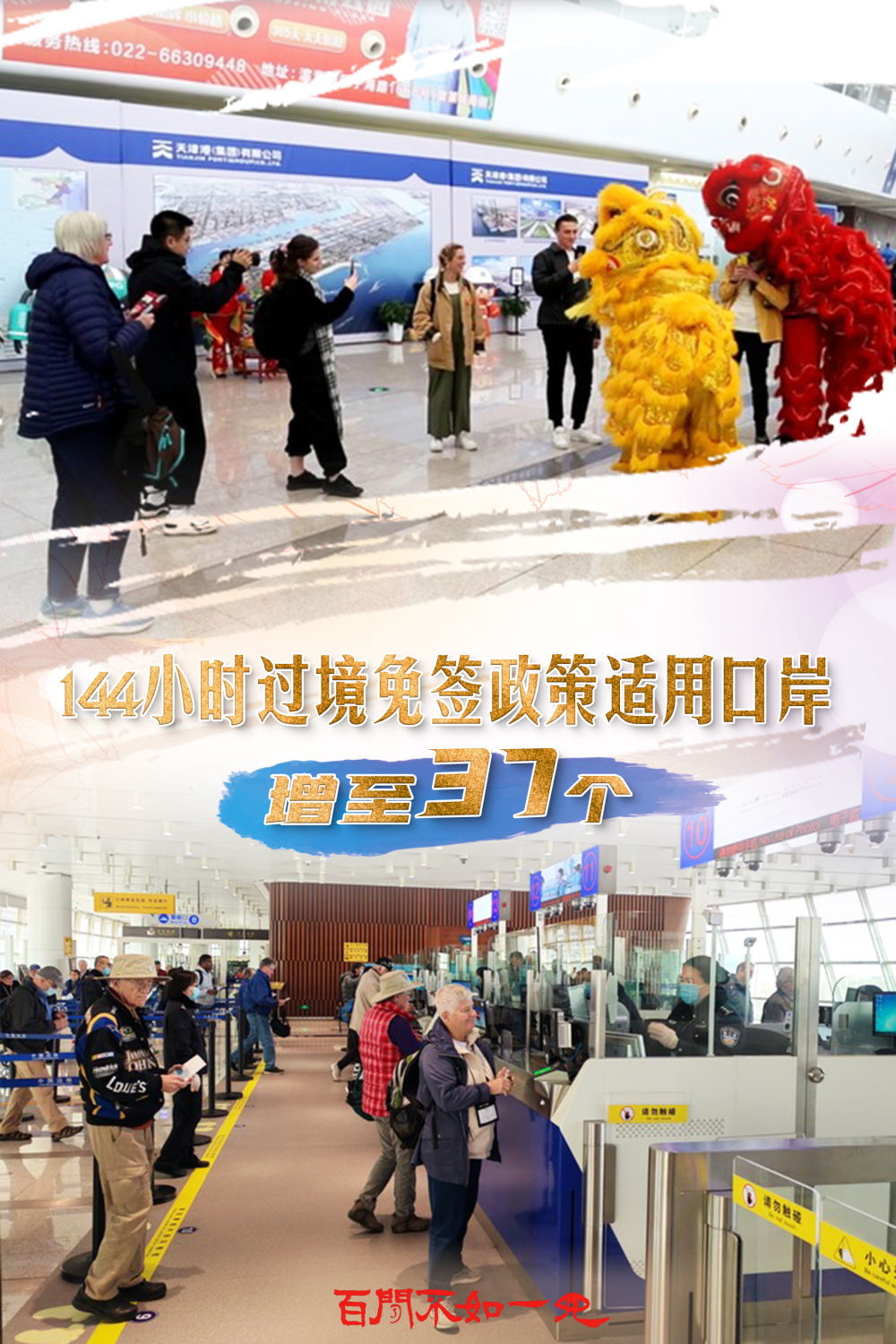 揭秘王中王，一碼一肖一特一中背后的故事，揭秘王中王背后的故事，一碼一肖一特一中傳奇揭秘