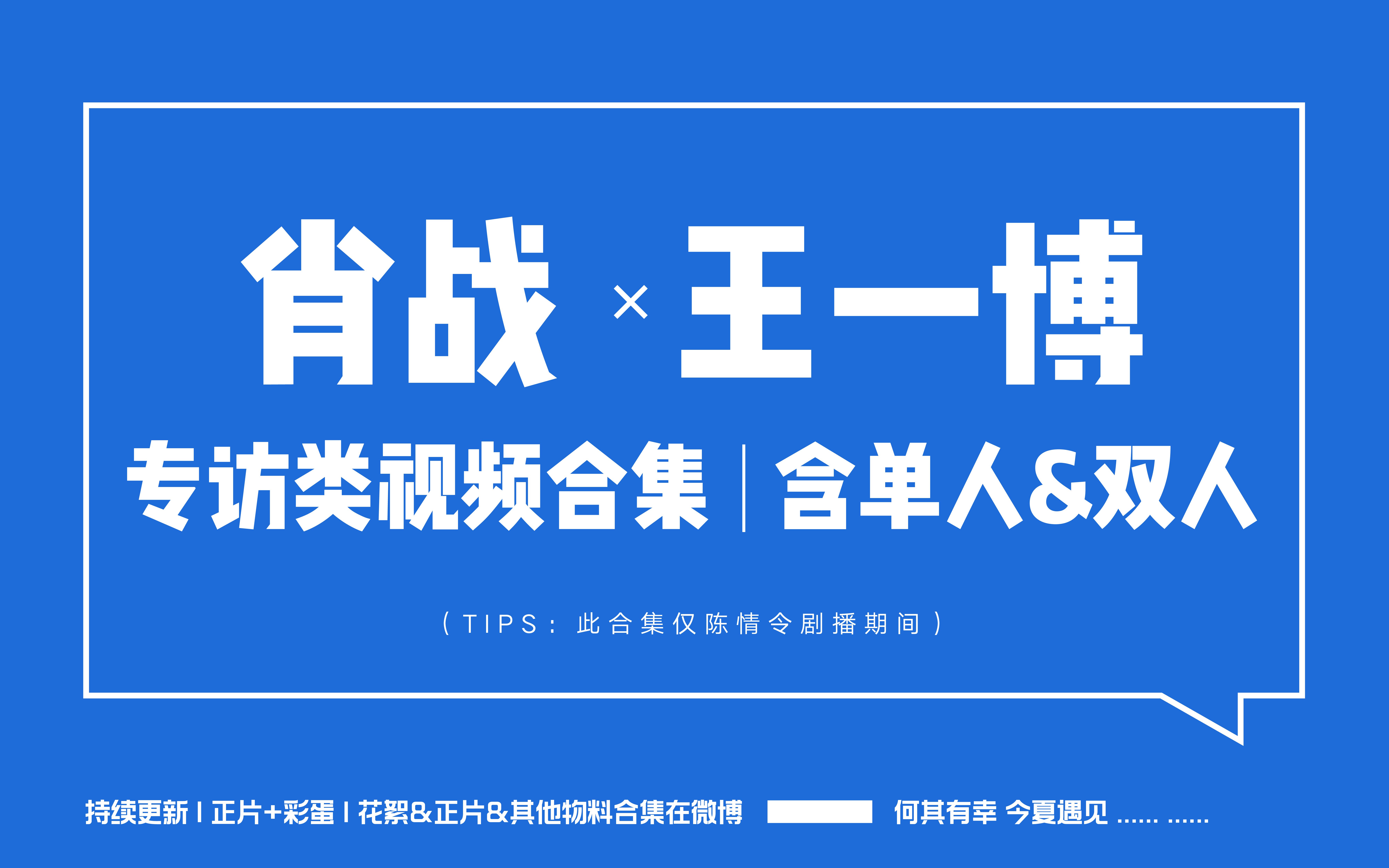 王中王一肖中特大全，深度解析與探索，王中王一肖中特大全深度解析與探索報告