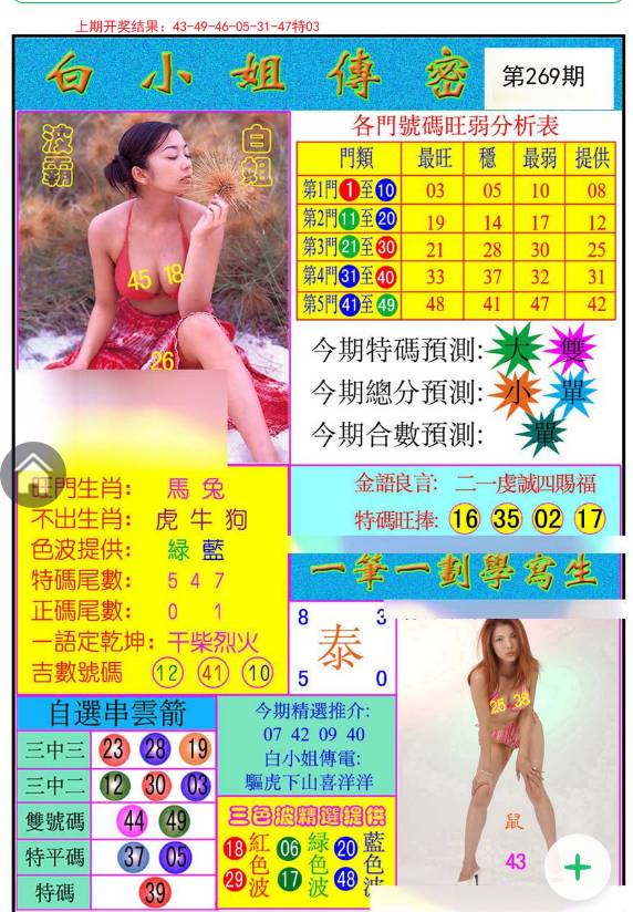 揭秘白小姐與王中王平持一肖的神秘面紗，白小姐與王中王，揭秘神秘生肖預(yù)測(cè)面紗