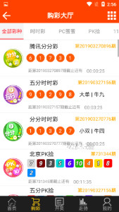探索域名www王中王平特一肖c.m背后的故事，揭秘域名www王中王平特一肖c.m背后的故事