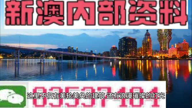 新澳新澳門正版資料，探索與解析，新澳新澳門正版資料深度解析與探索