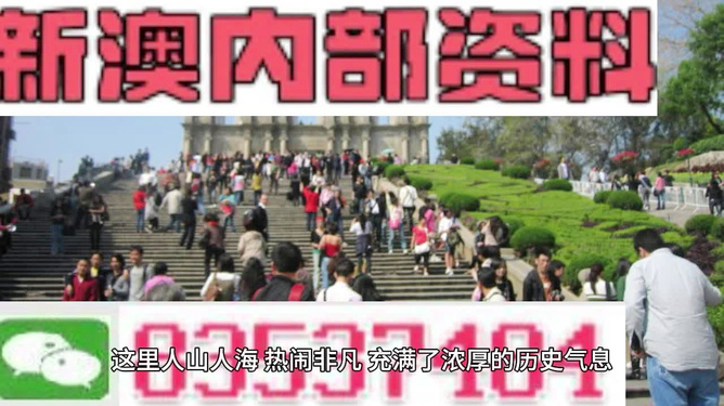 澳門最精準(zhǔn)免費(fèi)資料大全旅游團(tuán)，探索澳門之旅的完美選擇，澳門最精準(zhǔn)免費(fèi)資料大全旅游團(tuán)，探索澳門之旅的不二之選