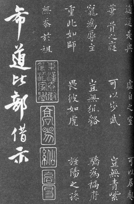一肖二碼中特的意思解析，一肖二碼中特的意思深度解析