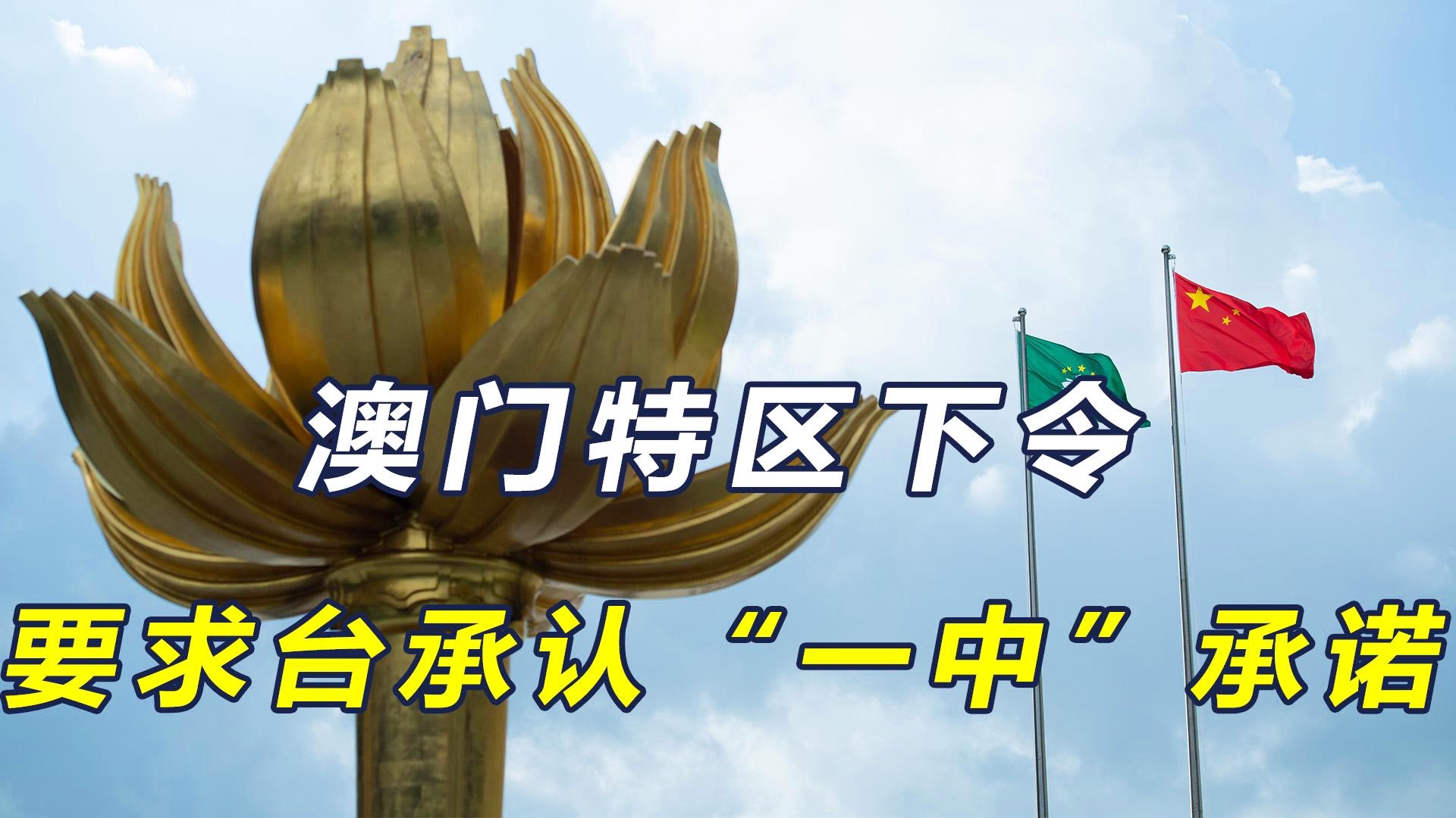 澳門一碼一肖一特一中今晚預(yù)測與探索，澳門今晚一碼一肖一特一中預(yù)測與揭秘