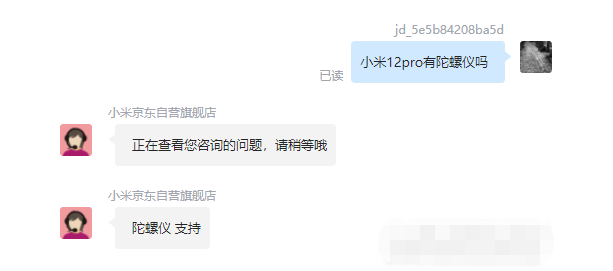 王中王一肖碼，探索關(guān)鍵詞背后的奧秘，王中王一肖碼，揭秘關(guān)鍵詞背后的奧秘