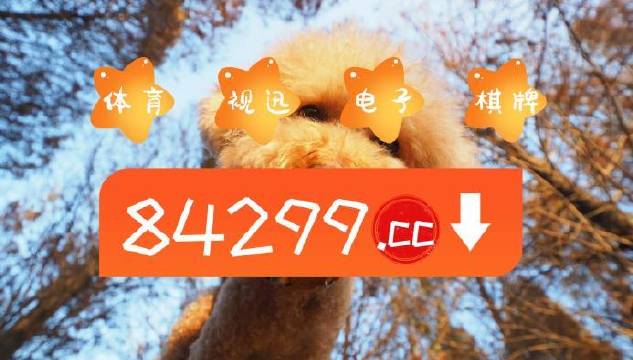 今期必中一肖一碼白小姐，揭秘彩票背后的秘密與策略，揭秘彩票背后的秘密與策略，白小姐今期必中一肖一碼解析