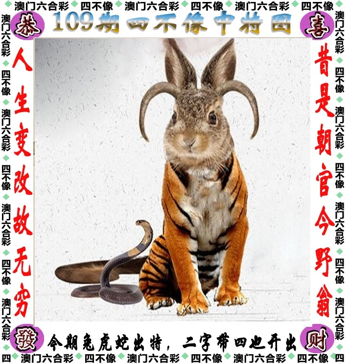四不像王中王資料一肖，深度解析與探索，四不像王中王資料一肖，深度解析與探索揭秘