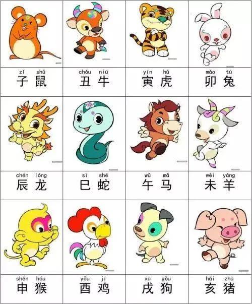 一肖有哪幾個(gè)生肖，生肖一肖包含哪些生肖