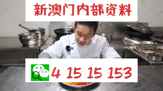 管家婆一肖資料大全，深度解析與探索，管家婆一肖資料深度解析與探索大全