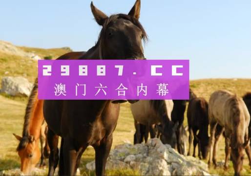 管家婆必開(kāi)一肖一碼，澳門精準(zhǔn)分析與預(yù)測(cè)，管家婆必開(kāi)一肖一碼，澳門精準(zhǔn)分析與預(yù)測(cè)揭秘