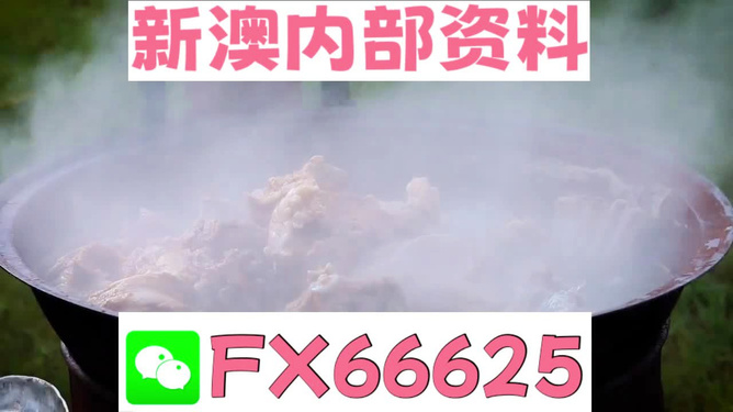 新澳全年免費(fèi)資料大全，一站式獲取優(yōu)質(zhì)資源指南，新澳全年優(yōu)質(zhì)資源免費(fèi)獲取指南