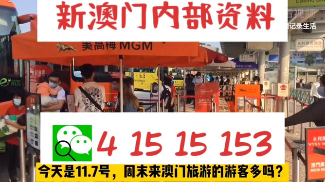 新澳今晚9點(diǎn)30分的精彩瞬間與背后故事，新澳之夜，9點(diǎn)30分的精彩瞬間與幕后故事