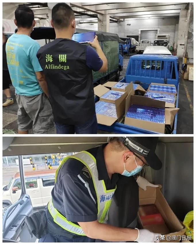 澳門今晚必開一肖080，揭秘生肖運(yùn)勢(shì)與預(yù)測(cè)之謎，澳門今晚必開一肖揭秘，生肖運(yùn)勢(shì)預(yù)測(cè)之謎開啟！