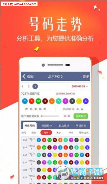 王中王四肖選一，揭秘選擇與優(yōu)化策略，王中王四肖選一，選擇與優(yōu)化策略的揭秘