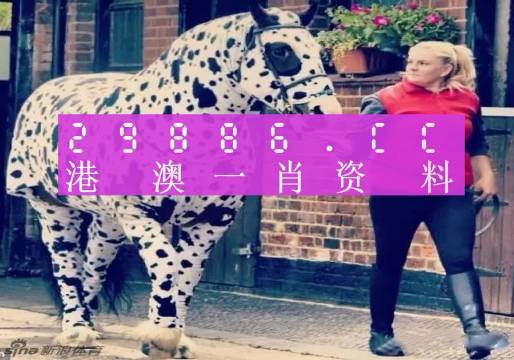 澳彩平肖王中王，一笑一碼的秘密與SEO優(yōu)化策略，澳彩平肖王中王，揭秘一笑一碼背后的SEO優(yōu)化策略