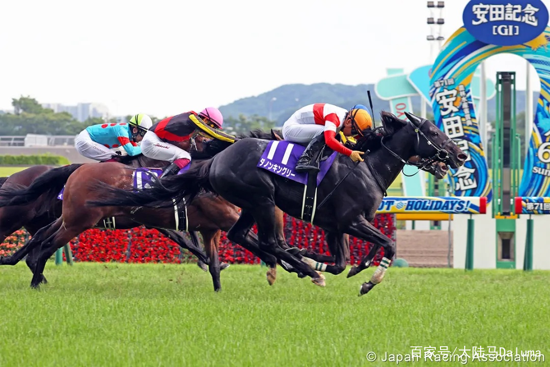 香港王中王與一馬中特肖的獨特魅力，深度解析與探索，香港王中王與一馬中特肖的獨特魅力，深度探索與解析