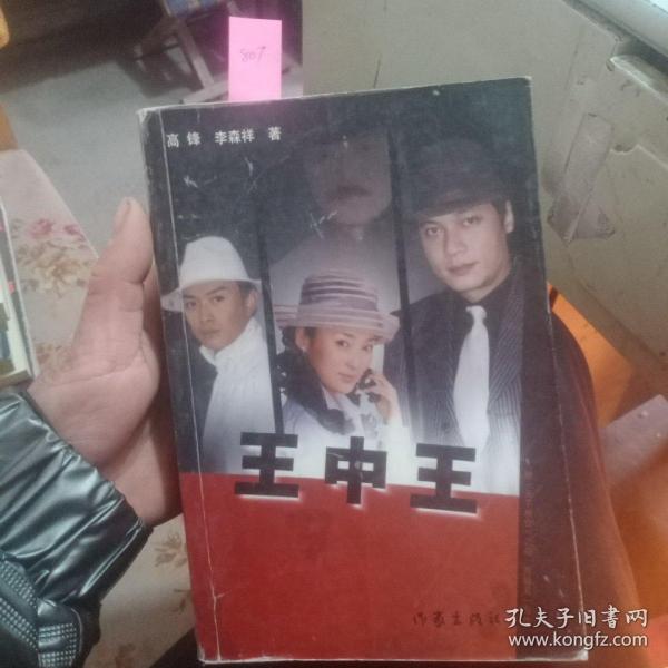 王中王資料一肖中天，深度解析與探索，王中王資料一肖中天，深度剖析與探索