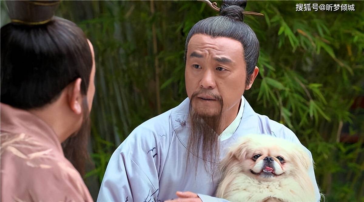 揭秘劉伯溫四不象一肖的神秘面紗——探尋背后的傳奇故事，揭秘劉伯溫四不象一肖背后的傳奇故事，神秘面紗下的神秘傳說
