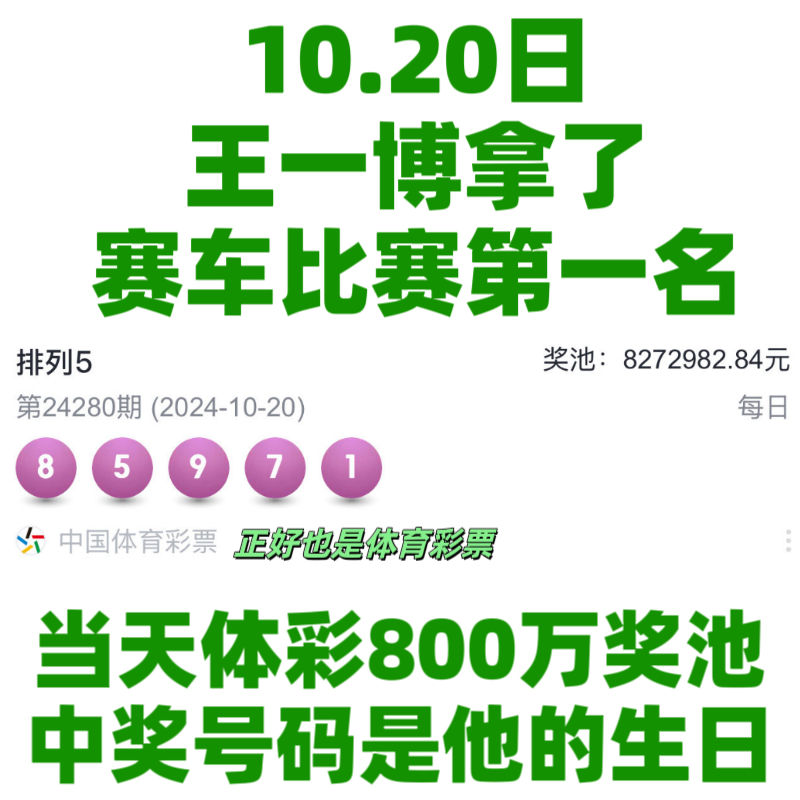 王中王一肖資料中特馬——深度解析與SEO洞察，王中王一肖特馬深度解析與SEO洞察揭秘