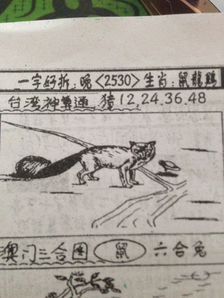 揭秘生肖奧秘，看圖猜一生肖劉伯溫的傳奇故事，揭秘生肖奧秘，劉伯溫傳奇故事中的生肖之謎探索
