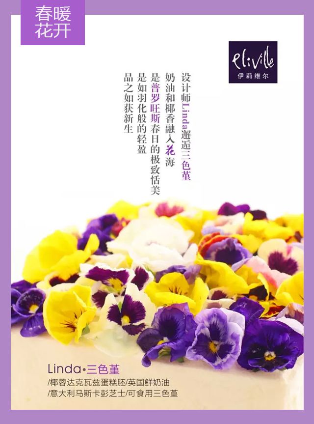 王中王339期指一生肖——探尋背后的秘密與玄機，探尋王中王339期生肖背后的秘密與玄機