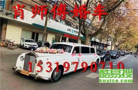 王中王車(chē)奪平特一肖免費(fèi)——深度解析與探索，王中王車(chē)奪平特一肖，深度解析與免費(fèi)探索