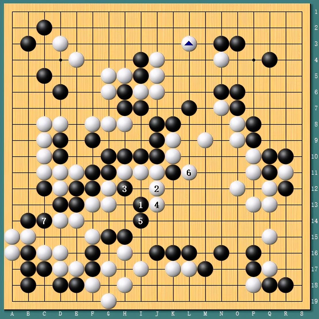 王中王四肖一碼資料論壇，探索與解析，王中王四肖一碼資料論壇，深度探索與解析