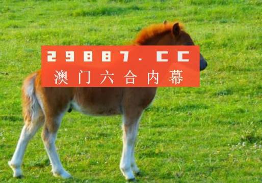 新奧門一肖一馬平特大全，揭秘熱門關鍵詞背后的故事，揭秘新澳門熱門關鍵詞背后的故事，一肖一馬平特大全