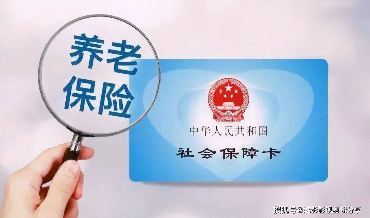 揭秘王中王一期一肖特中獎背后的秘密，王中王一期一肖特中獎背后的秘密揭秘