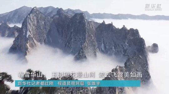 澳門最精準(zhǔn)龍門，探索真正的精準(zhǔn)之道，澳門最精準(zhǔn)龍門，揭秘真正的精準(zhǔn)之道