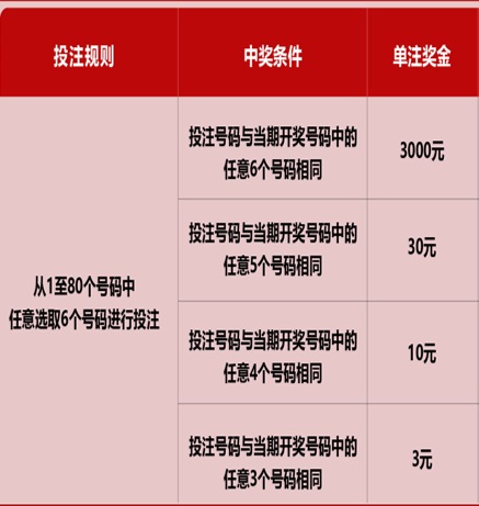 新澳門六開彩天天開獎結(jié)果，揭秘彩票背后的秘密，揭秘新澳門六開彩天天開獎背后的秘密