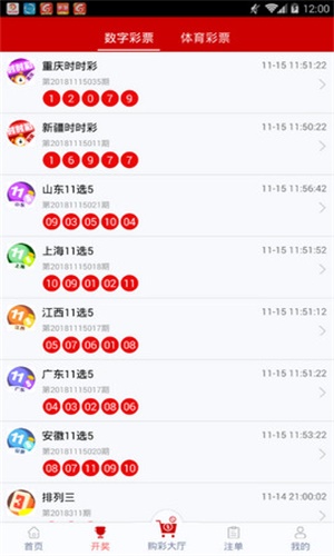 一碼一肖，揭秘背后的秘密與探索其獨(dú)特魅力，揭秘一碼一肖背后的秘密與獨(dú)特魅力探索