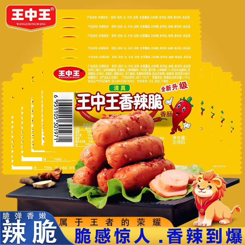 王中王資料一y肖中，深度解析與探索，王中王資料一y肖中深度解析與探索揭秘