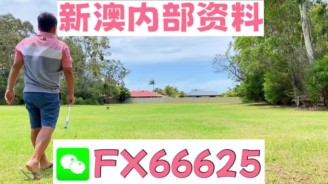 王中王一碼二肖，揭秘背后的秘密，揭秘王中王一碼二肖背后的秘密
