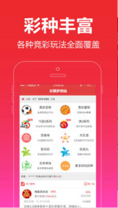 一肖王中王，探尋生肖魅力與SEO優(yōu)化之道，生肖魅力探尋與SEO優(yōu)化策略解析