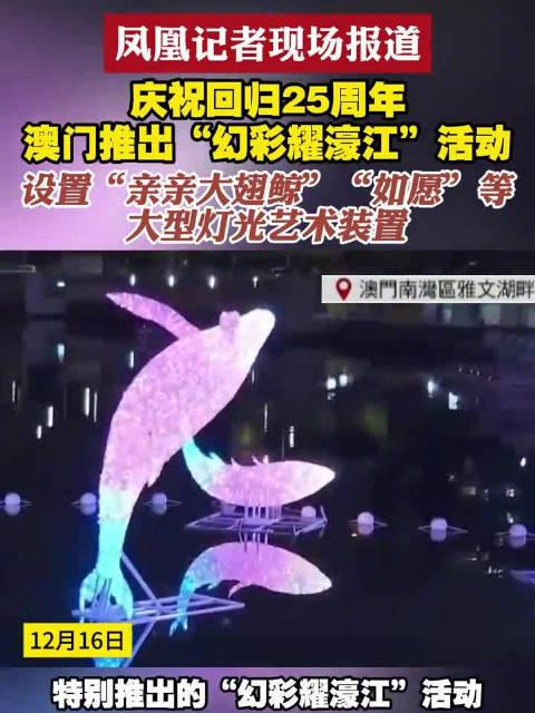 新澳門六開(kāi)獎(jiǎng)結(jié)果查詢濠江論壇——快速獲取開(kāi)獎(jiǎng)信息的首選平臺(tái)，澳門六開(kāi)獎(jiǎng)結(jié)果查詢首選平臺(tái)，濠江論壇快速更新開(kāi)獎(jiǎng)信息