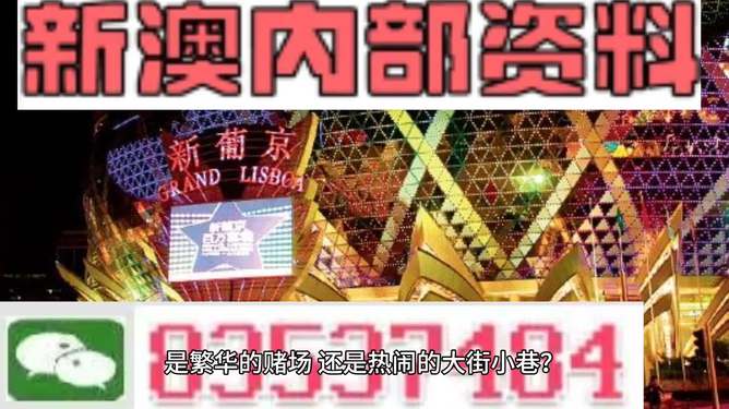 新澳門精準資料大全管家婆料，探索與解析，澳門精準資料大全解析，探索管家婆料內幕