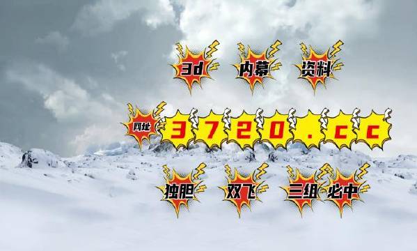 揭秘4887王中王精準資料，全方位解讀，讓你贏在起跑線，揭秘王中王精準資料，全方位解讀助你贏在起跑線