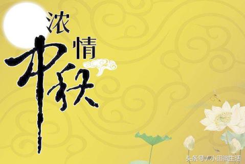 天天開好彩免費(fèi)資料大全——你不可錯過的幸運(yùn)之門，天天開好彩免費(fèi)資料大全——開啟幸運(yùn)之門的必備指南