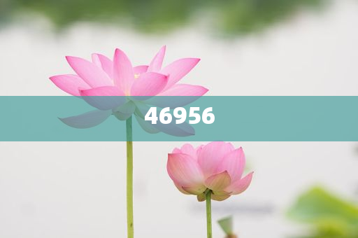 新奧集團，邁向2025，天天開好彩的愿景與挑戰(zhàn)，新奧集團邁向2025，實現(xiàn)天天開好彩的愿景與挑戰(zhàn)