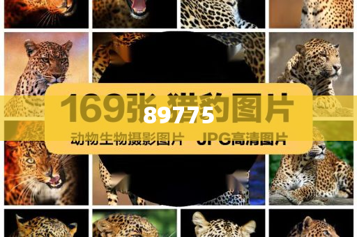 關(guān)于新奧歷史開獎(jiǎng)記錄的最新信息，今天公布了嗎？，新奧歷史開獎(jiǎng)記錄最新信息公布了嗎？