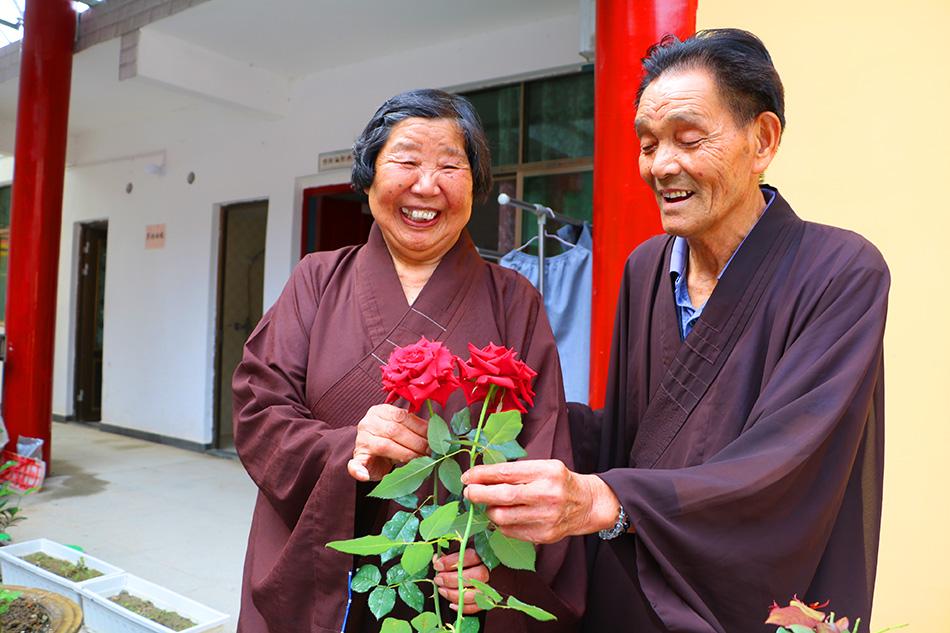 揭秘最準(zhǔn)一碼一肖，揭秘背后的秘密與真相，鳳凰網(wǎng)獨(dú)家報(bào)道，獨(dú)家揭秘，最準(zhǔn)一碼一肖背后的秘密真相（鳳凰網(wǎng)報(bào)道）
