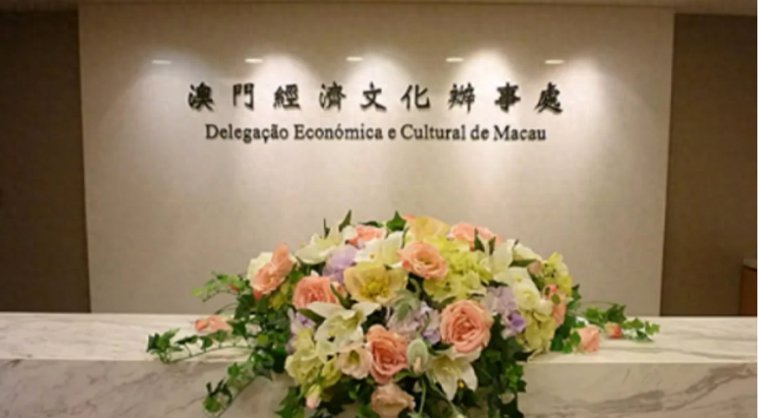 新澳門一碼一肖一待一中四不像的奧秘與探索，澳門一碼一肖一待一中四不像奧秘揭秘與探索