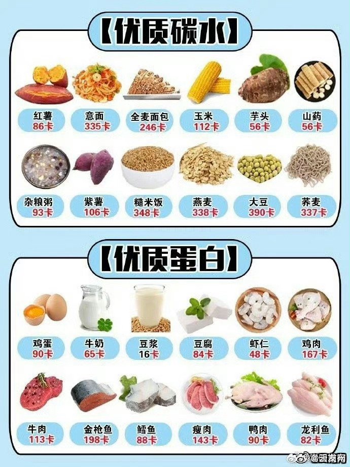 各種食物熱量表大全，健康飲食的必備指南，食物熱量表全面解析，健康飲食的必備指南